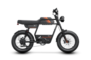 Riding’times GT33 Cargo Electric Motorbike