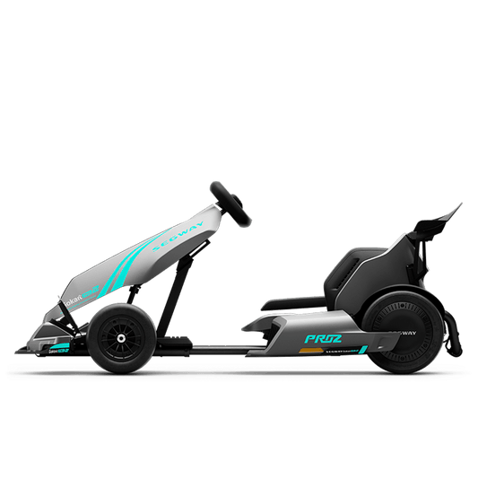 Segway GoKart Pro 2 - view 2