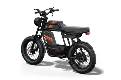 Riding’times GT33 cargo electric bike dual battery studio view from the rear
