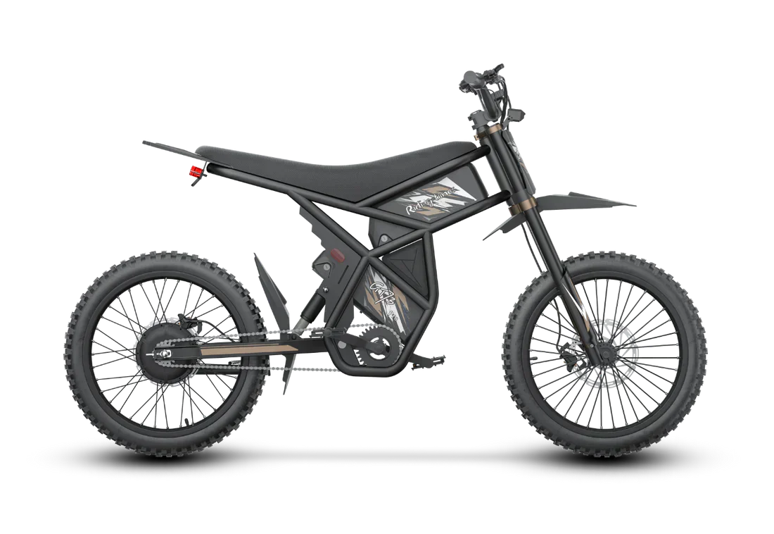 Riding'times GT73 Pro Electric Motorbike