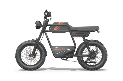 Riding’times GT33 cargo electric bike single battery studio side view