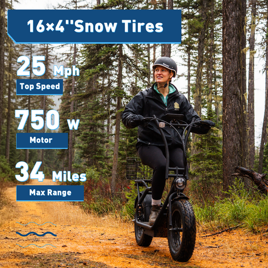 Hiboy U2 Pro Fat Tire Electric Scooter - view 2