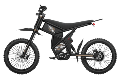 Riding'times GT73 Pro Electric Motorbike