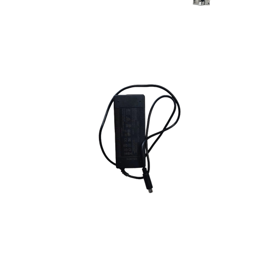 INMOTION E20 Charger
