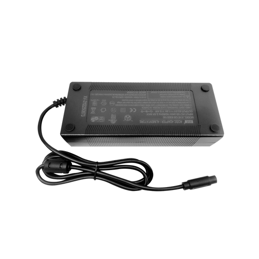 INMOTION S1 Charger