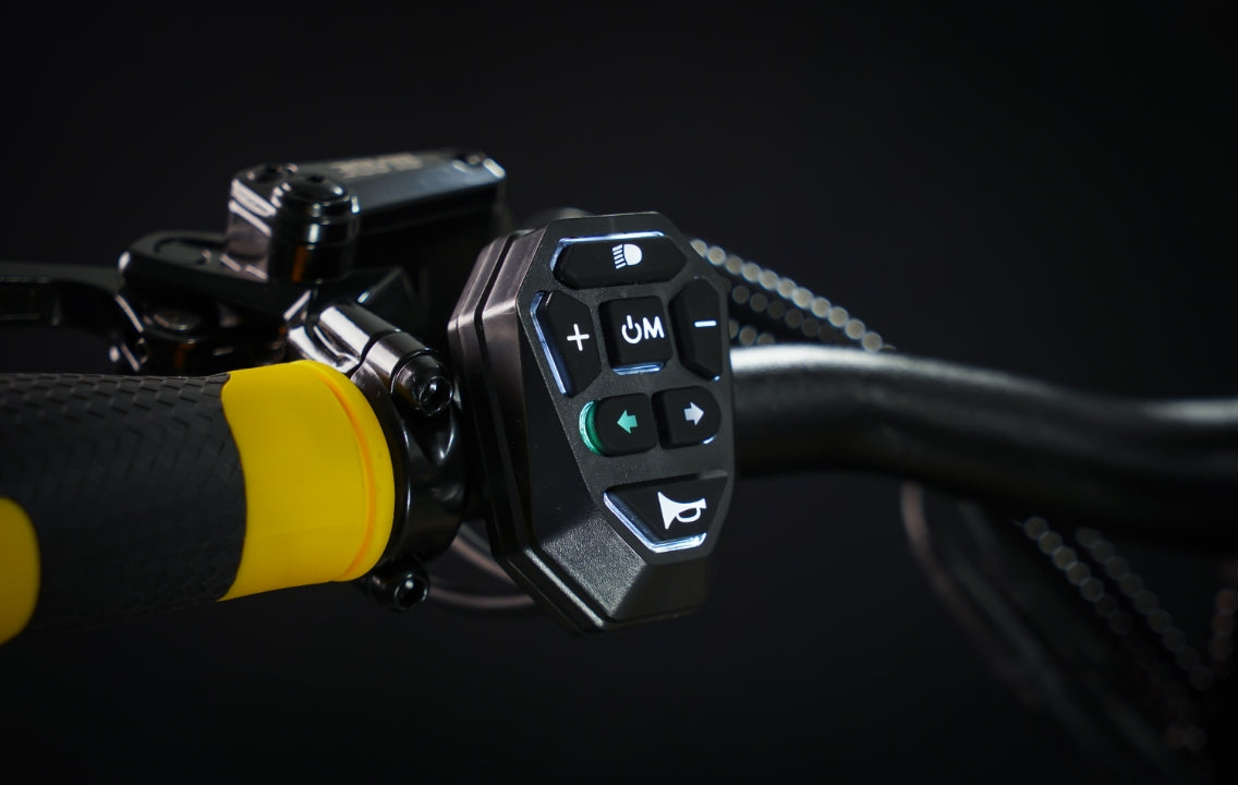 Teverun Blade Mini Ultra electric scooter with dual motors and LED display