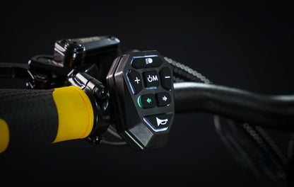 Teverun Blade Mini Ultra electric scooter with dual motors and LED display