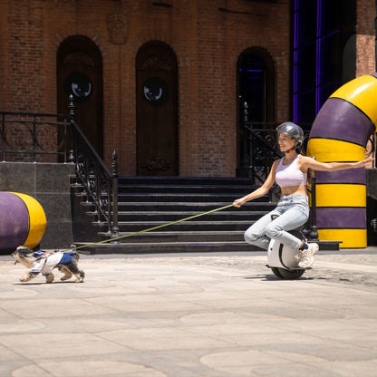 INMOTION E20 Electric Unicycle, photo 4