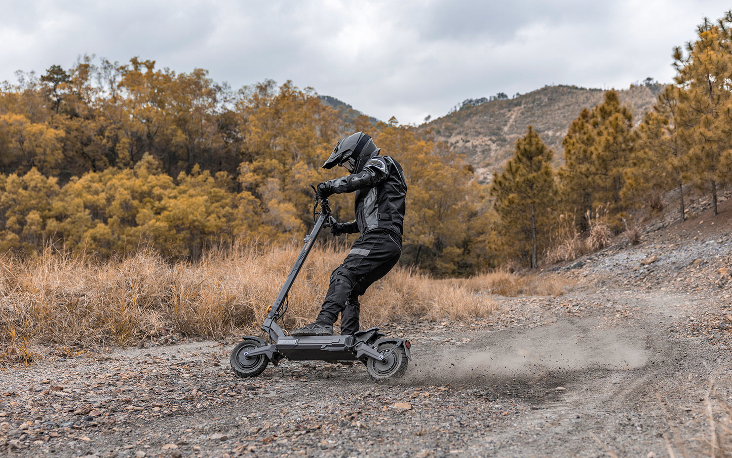 Ausom DT2 Pro Electric Scooter