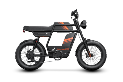 Riding’times GT33 cargo electric bike dual battery studio side view