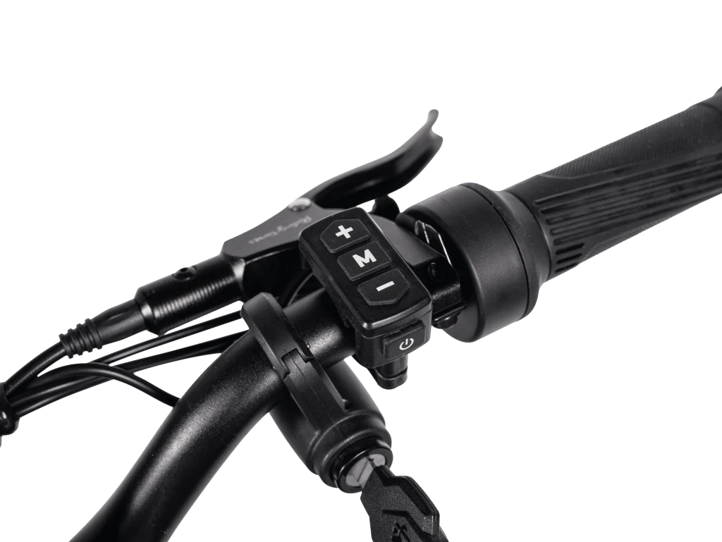 Riding'times GT54 Electric Mini Motorbike