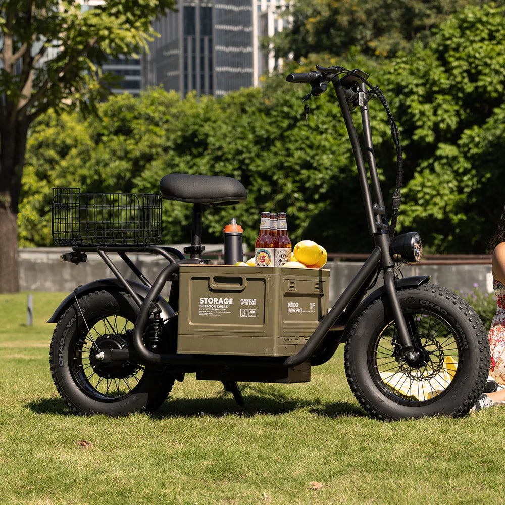 Green cargo bike with storage box on grassy area