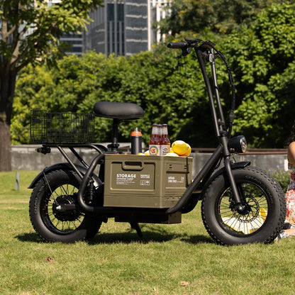 Green cargo bike with storage box on grassy area