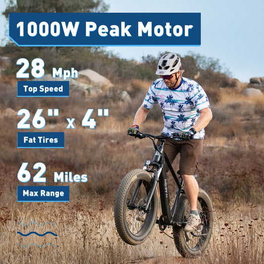 Hiboy P6 Fat Tire Electric Bike - view 2