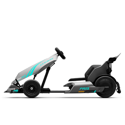 Segway GoKart Pro 2 - view 2