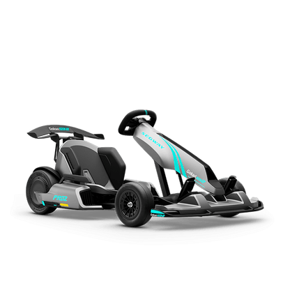 Segway GoKart Pro 2 - view 3