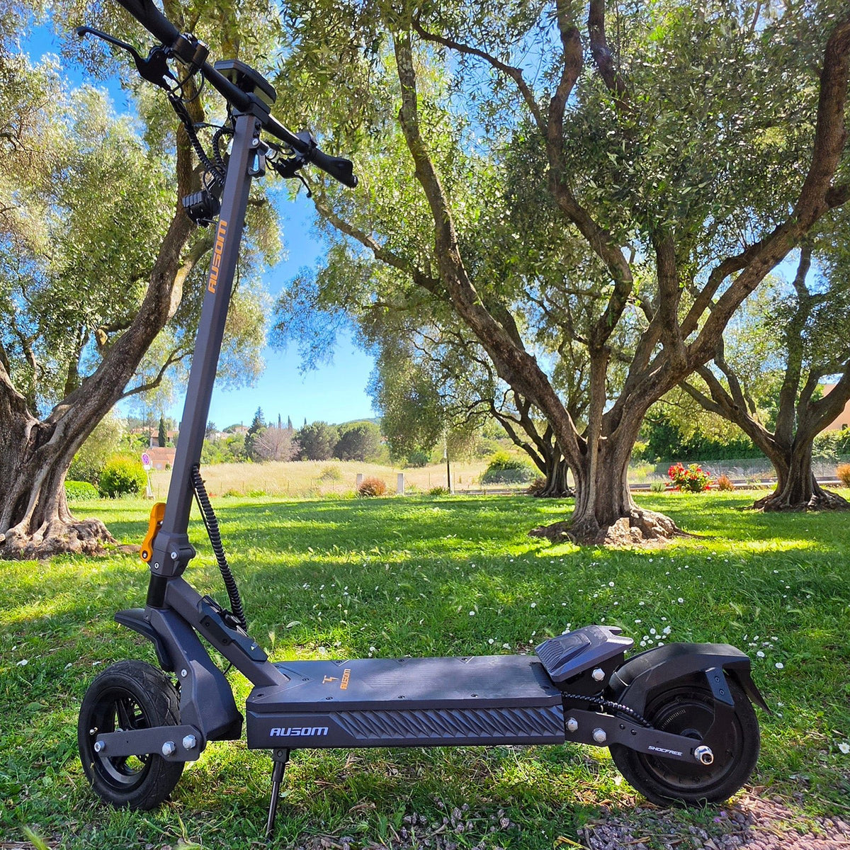 Ausom Gosoul 2 Electric Scooter - view 2