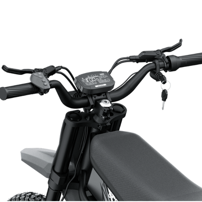 Riding'Times GT73 Electric Motorbike with 1200W motor and 85-mile range for high-speed commuting and off-road adventures